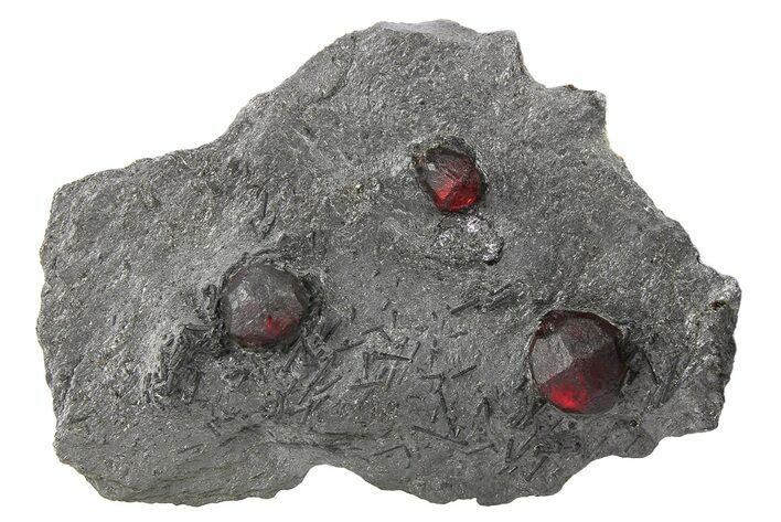Plate of Three Red Embers Garnets in Graphite - Massachusetts #272719